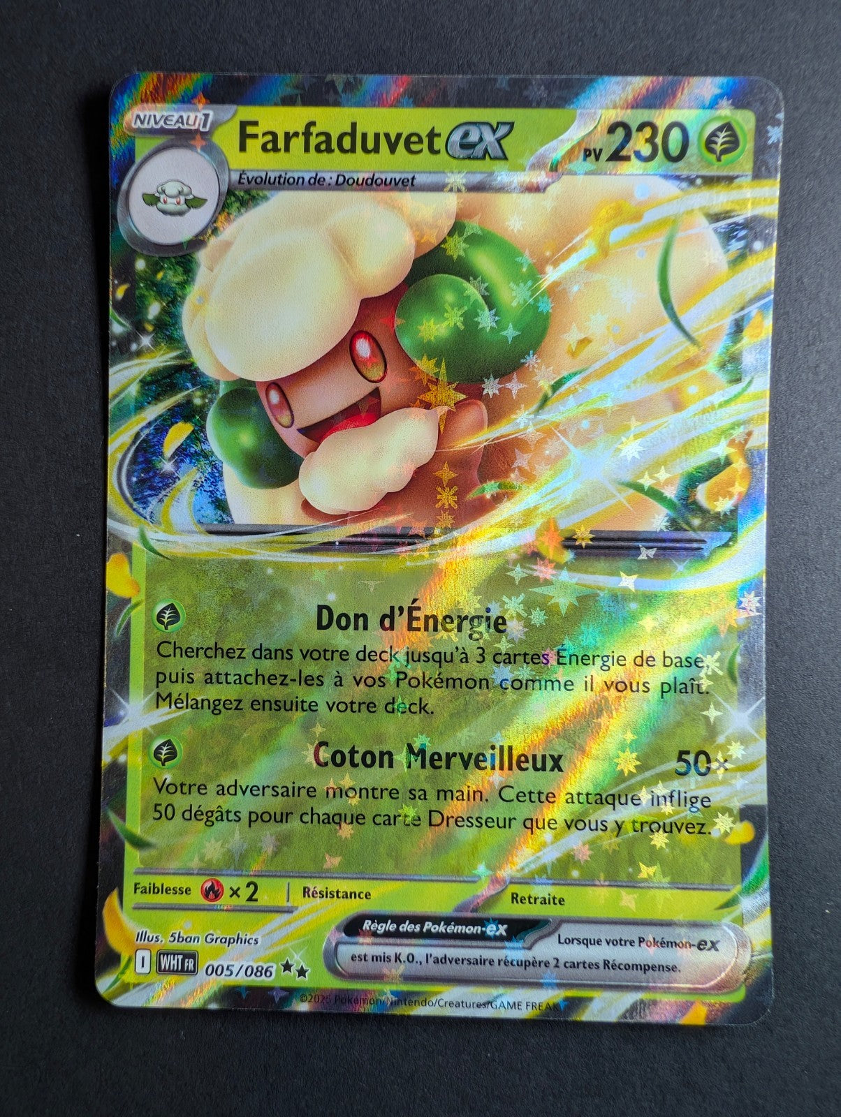 Pokemon Farfaduvet ex 005/086 -double Rare -FR NM