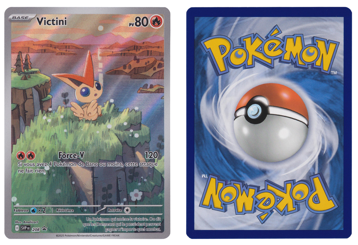 Victini 208 - 248 - recto et verso