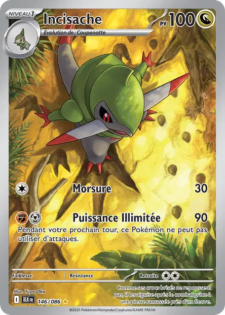 Incisache 146/086 - visuel Pokécardex de référence