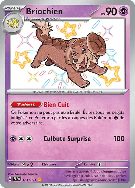Briochien 161/091 - visuel Pokécardex de référence