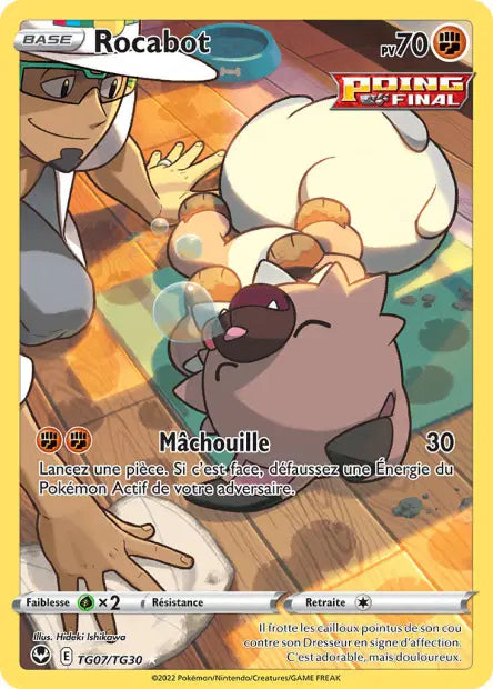 Rocabot TG07/TG30 - visuel Pokécardex de référence