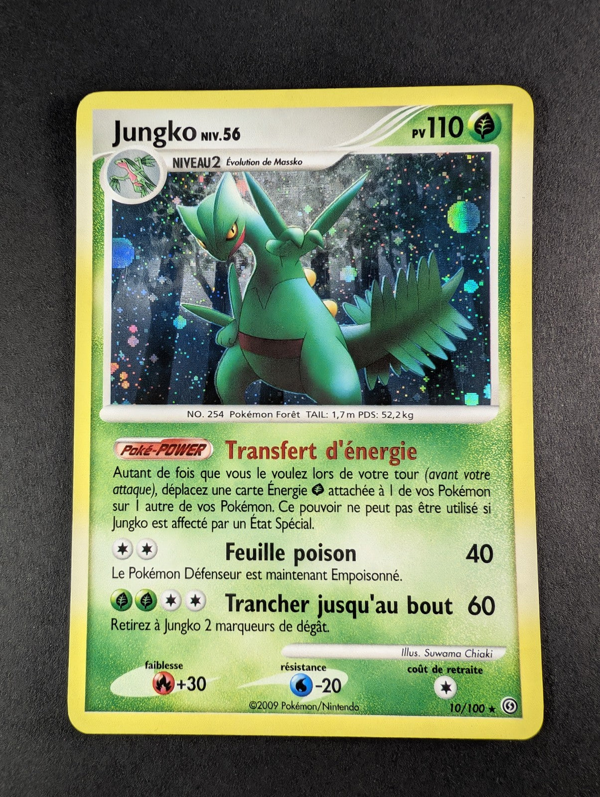 Pokemon Jungko 10/100  010/100Diamant & Perle : Tempête -Holo-FR Excellent