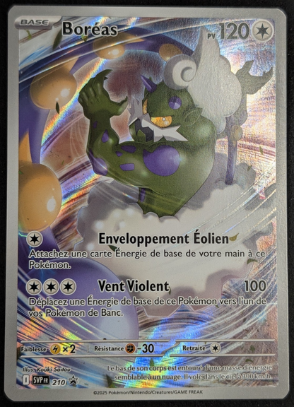 Pokemon Boréas 210/220 PROMO -FR NM