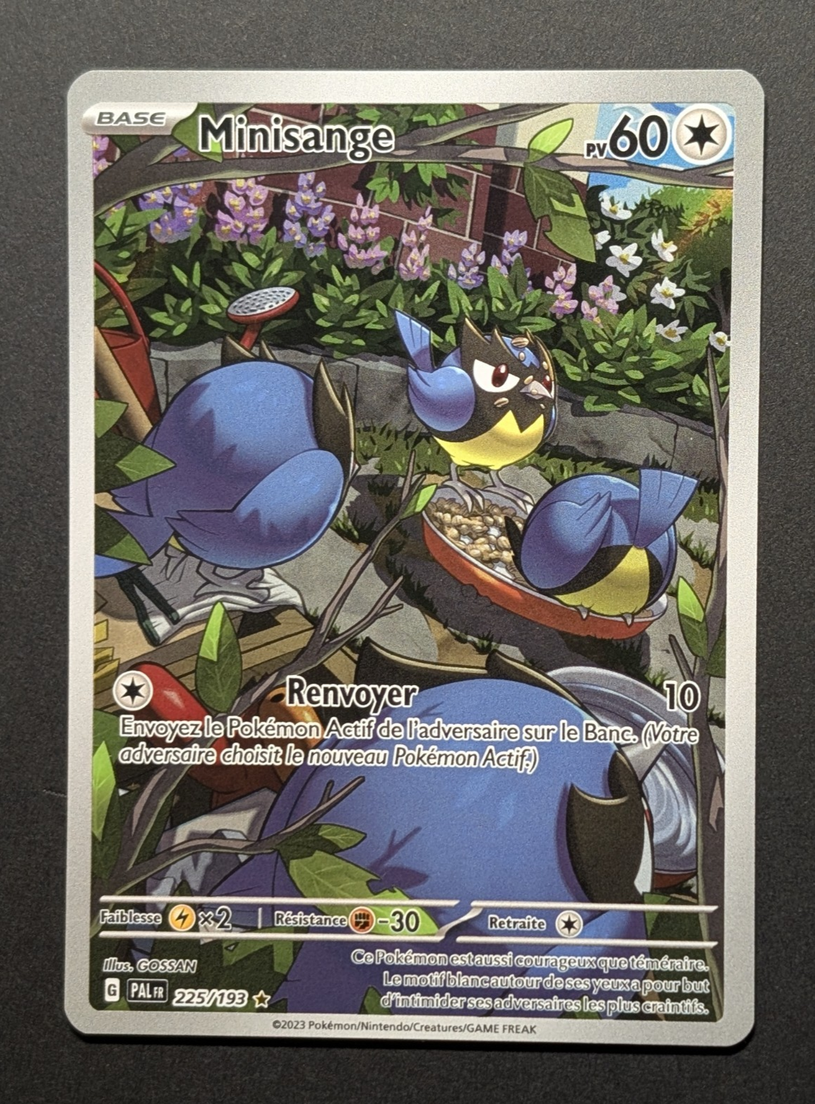 Pokemon Minisange 225/193   - AR -FR NM