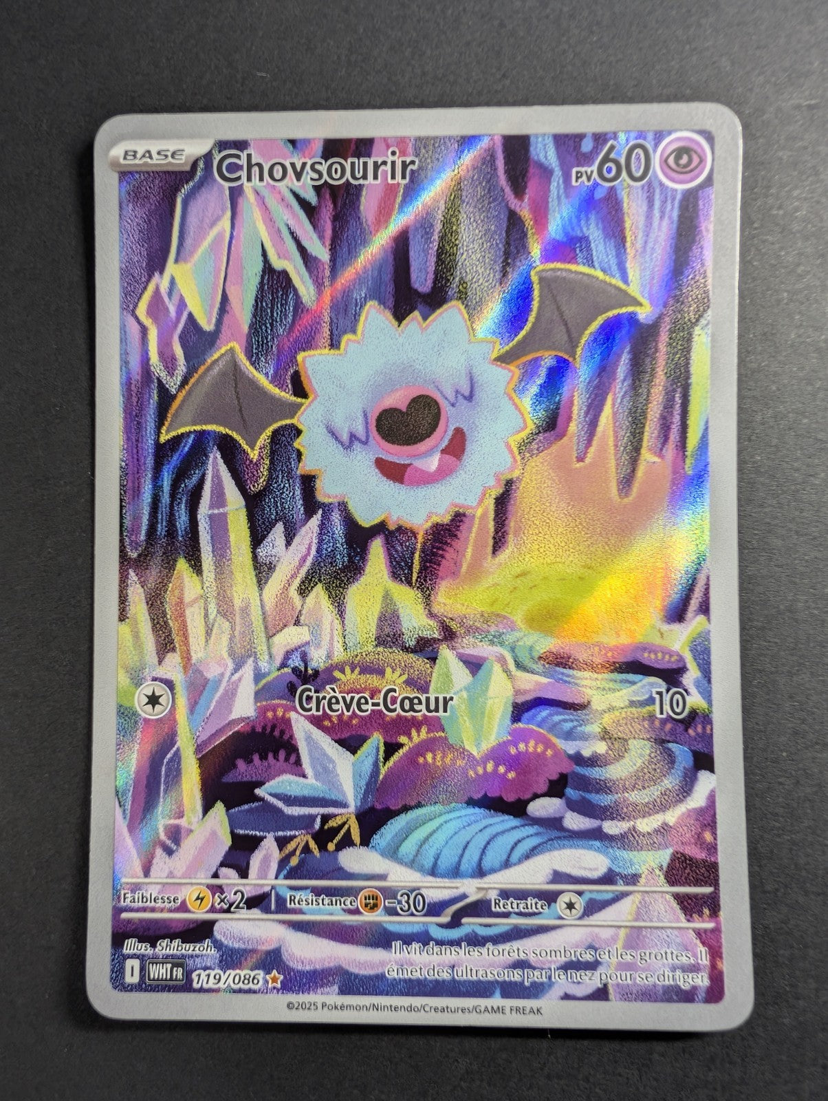 Pokemon Chovsourir 119/086  - AR - FR M