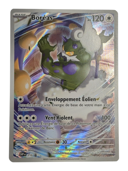 Pokemon Boréas 210/220 PROMO -FR NM