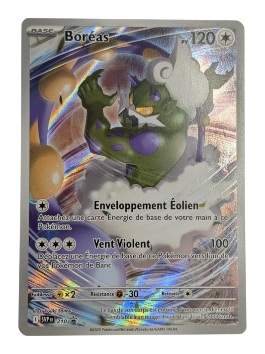 Pokemon Boréas 210/220 PROMO -FR NM