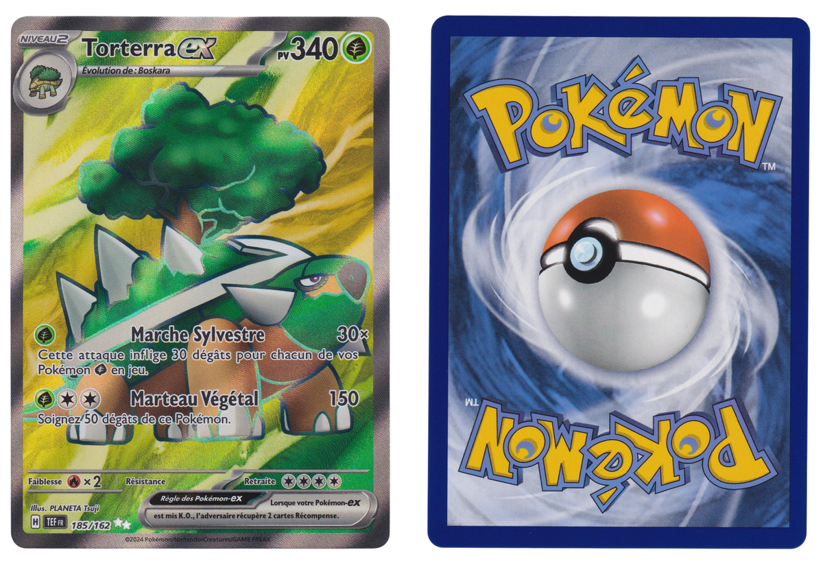 Torterra ex 185/162 - 162 - recto et verso