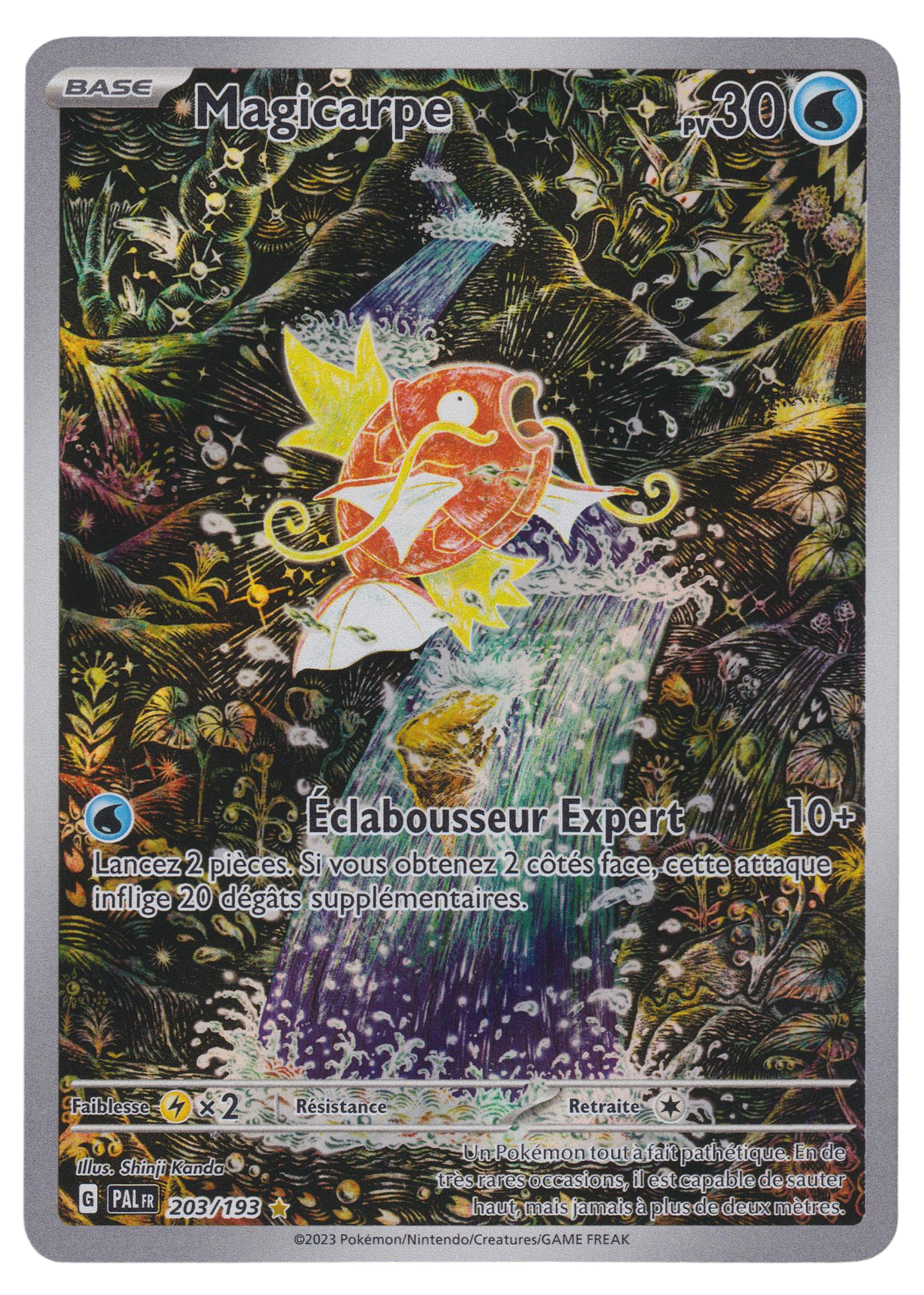 Magicarpe 203/193 - recto