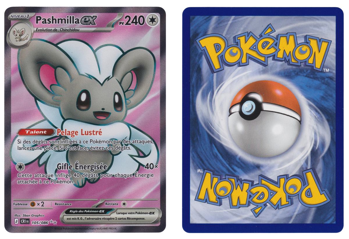 Pashmilla ex 105/086 - PKM-CRI-105086-260824010734 - recto et verso