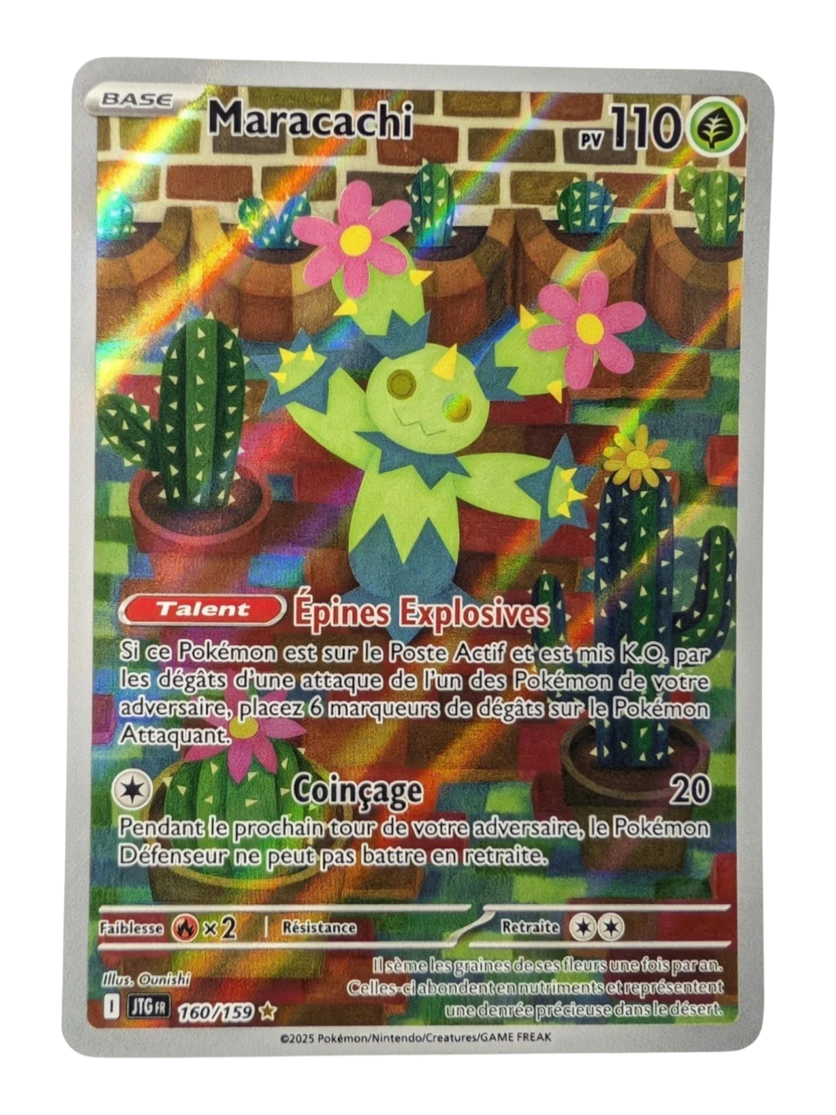 Pokemon Maracachi 160/159 - Illustration Rare- FR NM