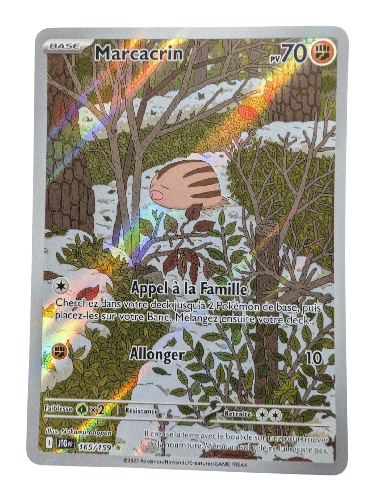 Pokemon Marcacrin 165/159  -AR-FR NM
