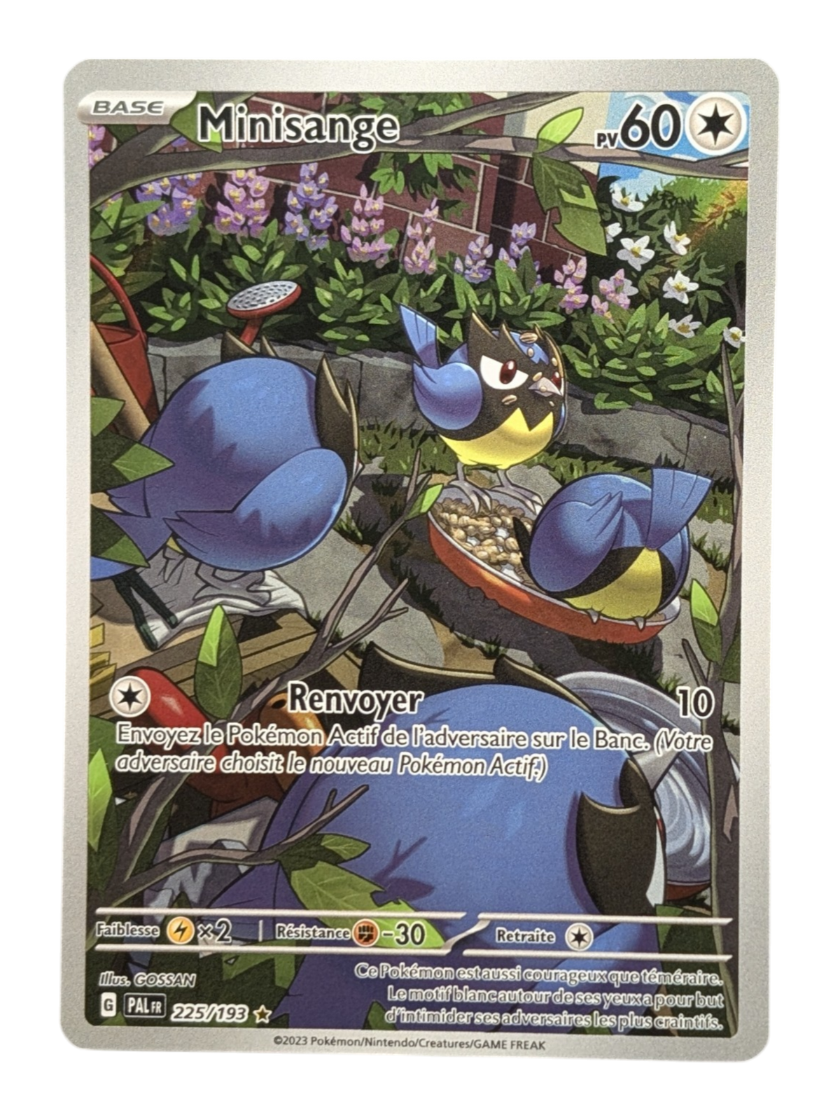 Pokemon Minisange 225/193   - AR -FR NM