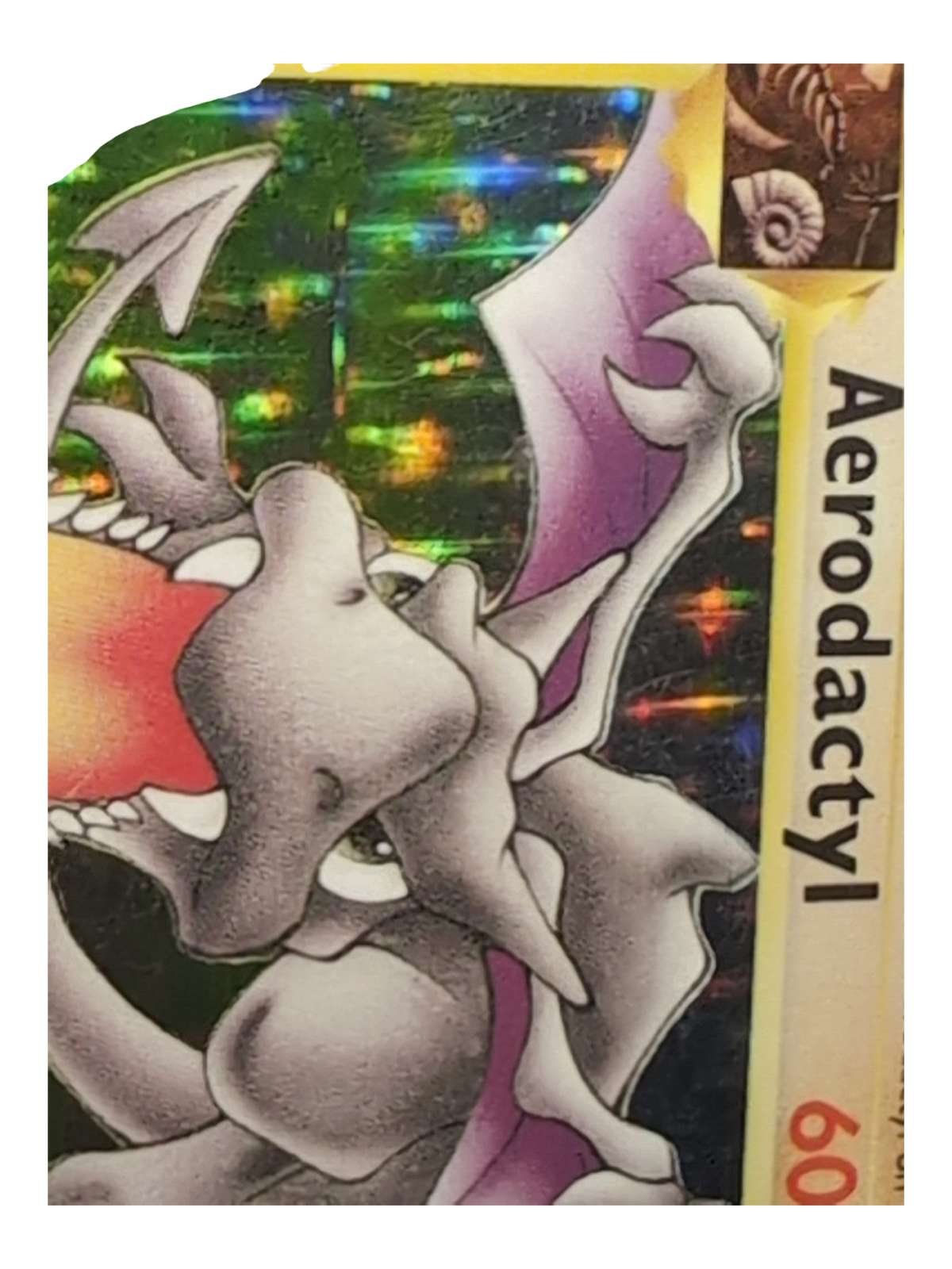 Ptera  Aerodactyl  1/62  001/062 HOLO PRERELEASE Fossile EDITION 1 Wizards -EN