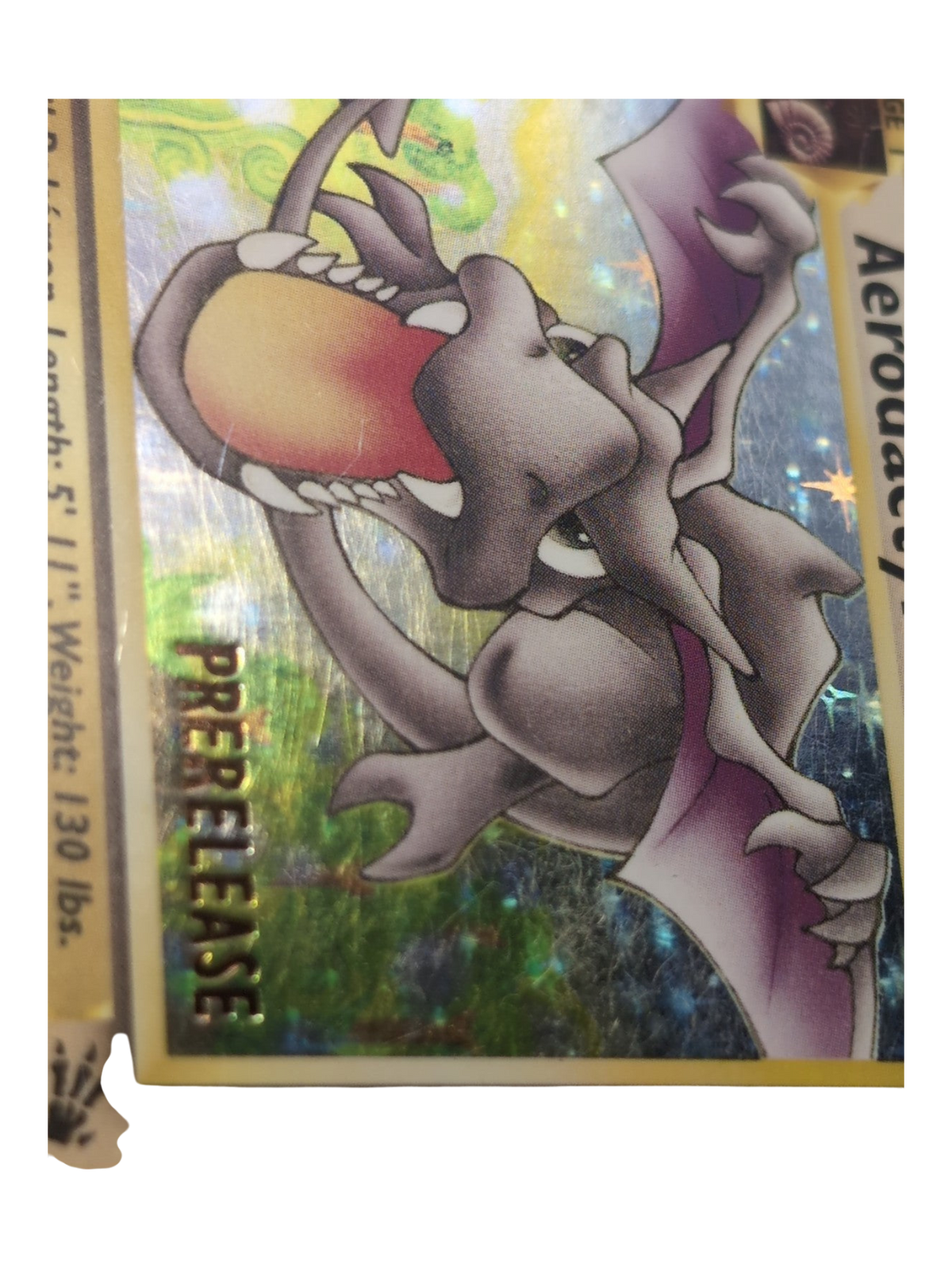 Ptera  Aerodactyl  1/62  001/062 HOLO PRERELEASE Fossile EDITION 1 Wizards -EN